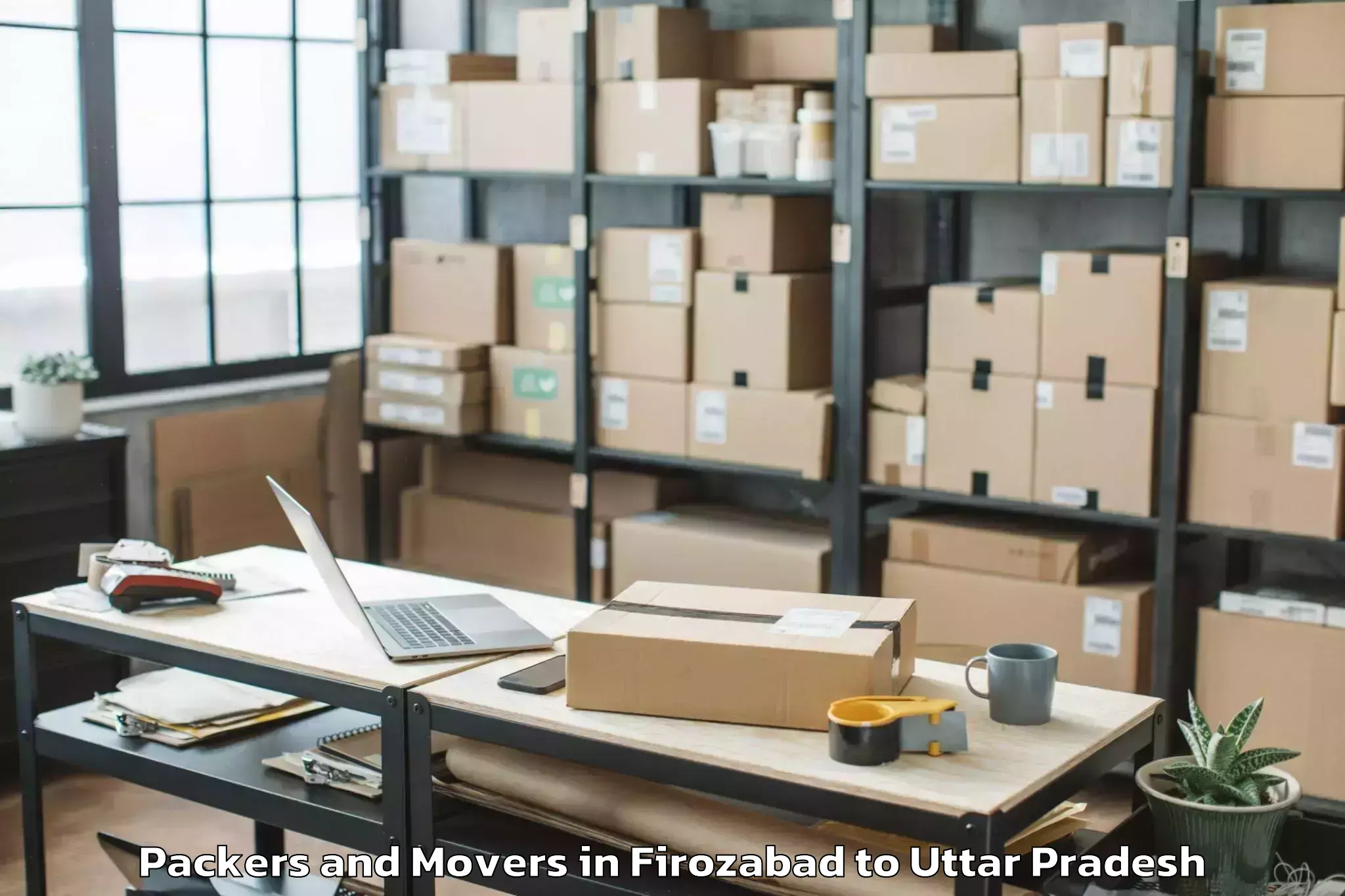 Professional Firozabad to Hasanpur Packers And Movers